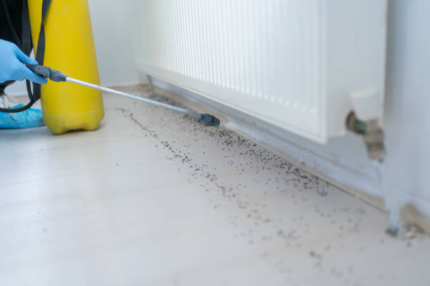 Best Best Pest Control Companies  in Sewanee, TN