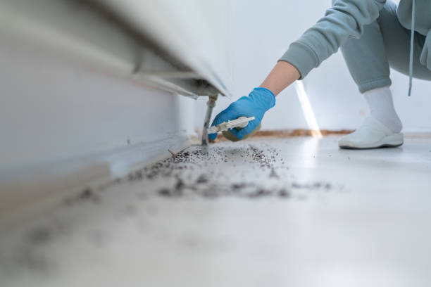 Best Affordable Pest Control Services  in Sewanee, TN