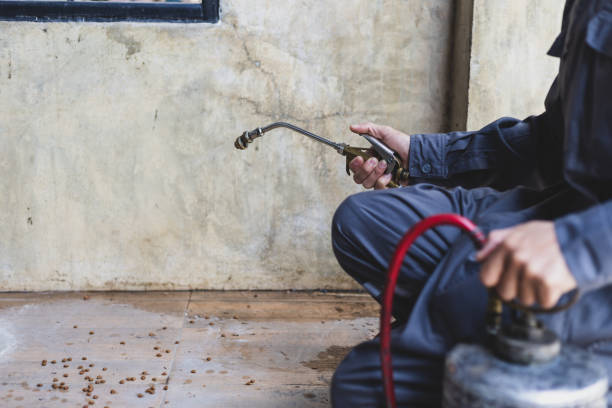 Best Pest Control for Homes  in Sewanee, TN